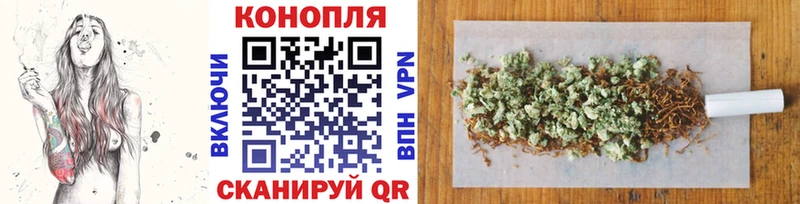 Купить  Малаховка  Каннабис индика 